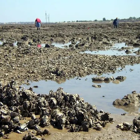 De Entre Et Campagne * لو بورت - دي - بارك