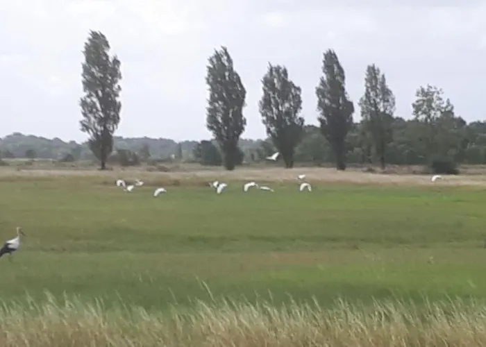 De Entre Et Campagne Apartamento