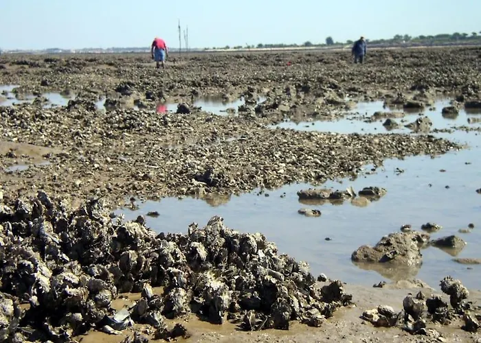 De Entre Et Campagne * Port-des-Barques